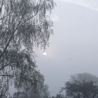 The Sun Deep in the waters of the morning Fog