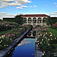 October in the magic of a Rose garden, with scents to stretch the boundariesof magic and imagination